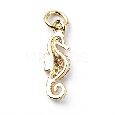 Brass Micro Pave Cubic Zirconia Charms ZIRC-F131-06G-1
