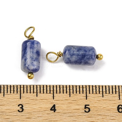 Natural Sodalite Cloumn Pendants LS-STAS-H221-04G-06-1