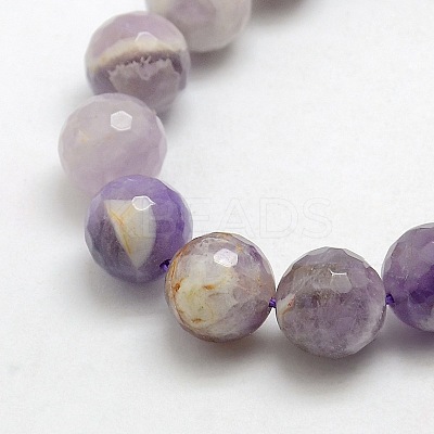 Natural Gemstone Amethyst Round Beads Strands G-O021-12mm-13-1