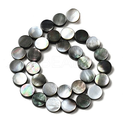 Natural Black Lip Shell Beads Strands BSHE-D300-05-12mm-1