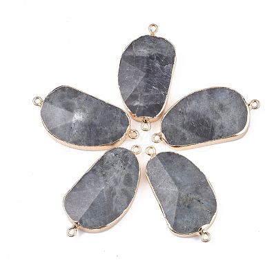 Electroplate Natural Labradorite Links Connectors G-S344-70C-01-1