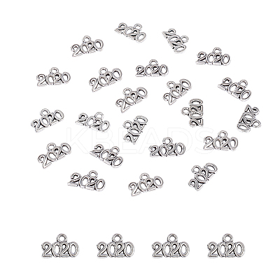 Tibetan Style Zinc Alloy Charms LS-PALLOY-I141-30AS-A-1