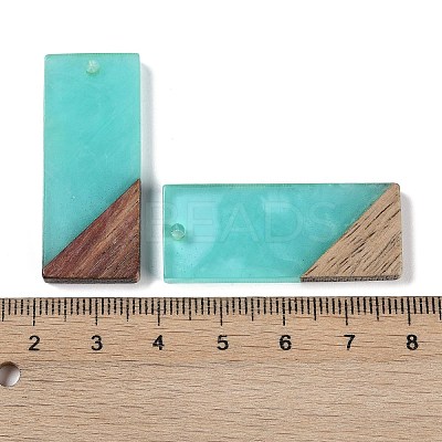 Resin & Wood Pendants WOOD-F015-09F-1