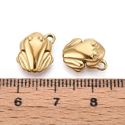 304 Stainless Steel Charms STAS-N109-171G-1