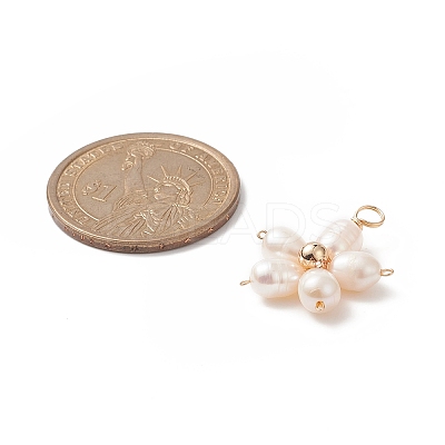 Natural Cultured Freshwater Pearl Pendants PALLOY-JF02024-1