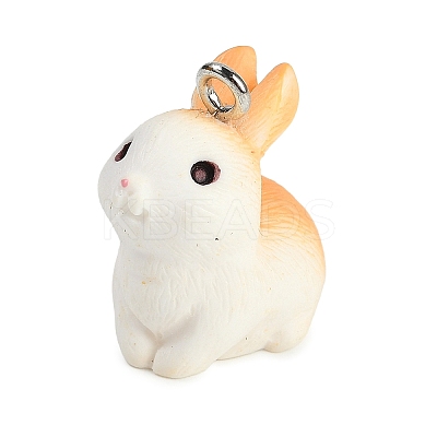 Cute Opaque Resin Pendants LS-RESI-R458-05F-1