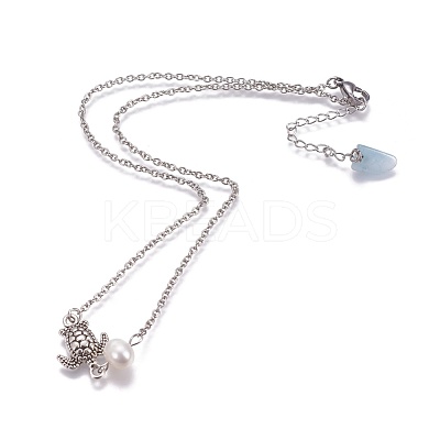 Stainless Steel Pendant Necklaces NJEW-JN02319-1