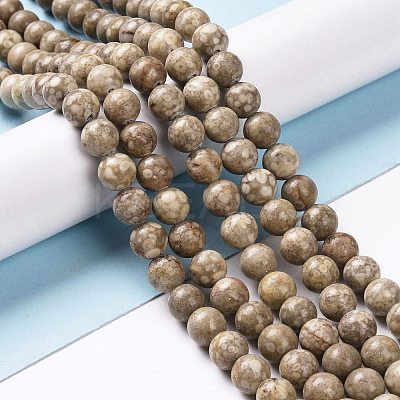 Natural Maifanite/Maifan Stone Beads Strands G-I187-8mm-01-1