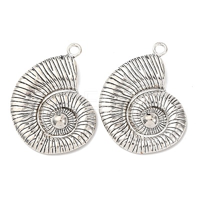 Tibetan Style Alloy Big Pendants FIND-Z099-06AS-1