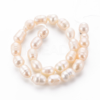 Natural Cultured Freshwater Pearl Beads Strands PEAR-S012-41E-1