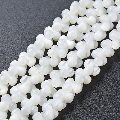 Natural Trochid Shell/Trochus Shell Bead Strands SSHEL-N034-104-B01-1