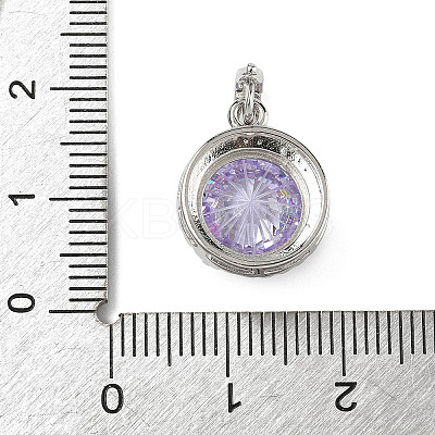 925 Sterling Silver Pave Cubic Zirconia Pendants STER-B009-01B-05-1