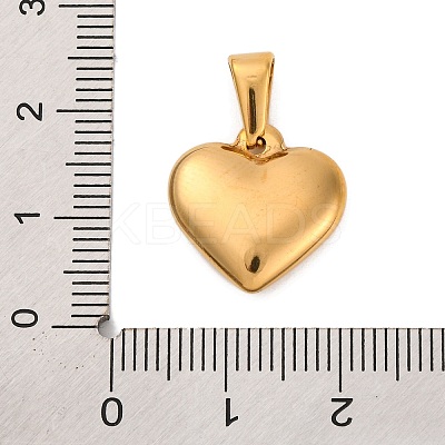 304 Stainless Steel Pendants STAS-P278-01B-G-1-1