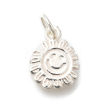 925 Sterling Silver Charms STER-Q003-01A-S-1