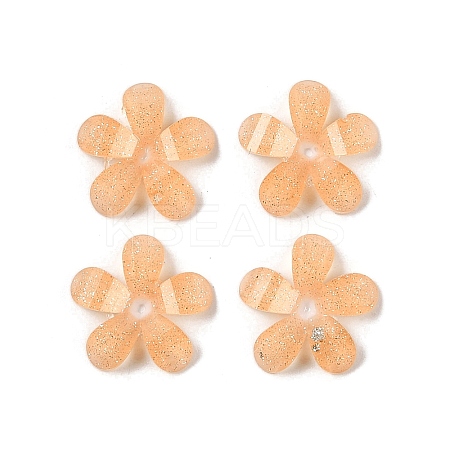 Translucent Epoxy Resin Glitter Powder Decoden Cabochons CRES-S367-14A-1