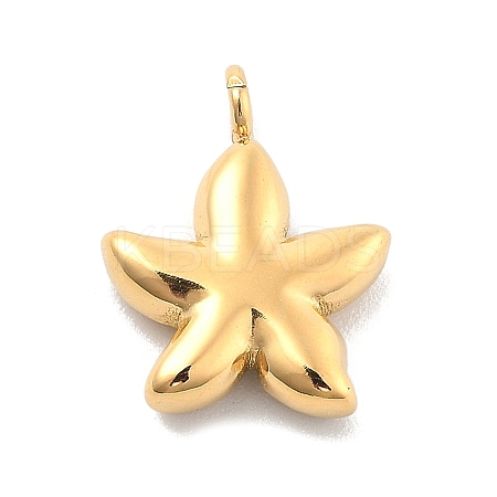 Ion Plating(IP) 304 Stainless Steel Pendants STAS-P379-15D-G-1