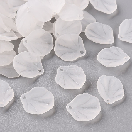 Transparent Frosted Acrylic Pendants MACR-S371-02A-701-1