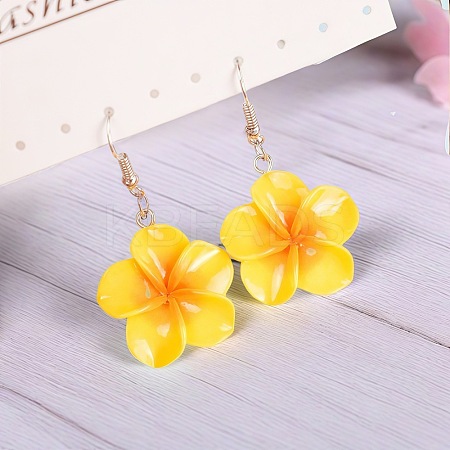 Flower Resin Dangle Earrings FS-WG2DDFE-07-1