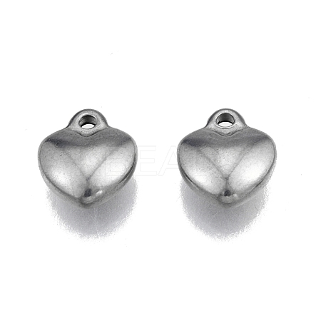 Non-Tarnish 304 Stainless Steel Charms STAS-N099-26-1