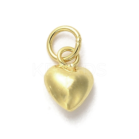925 Sterling Silver Pendants LS-STER-P057-07A-G-1