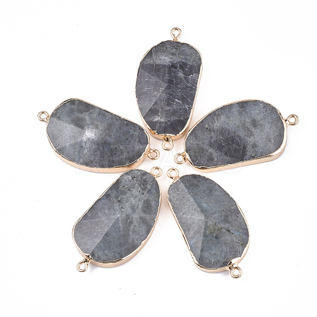 Electroplate Natural Labradorite Links Connectors G-S344-70C-01-1