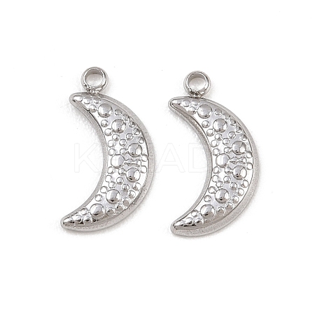 304 Stainless Steel Pendants STAS-I363-13P-1