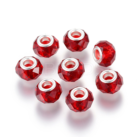 Handmade Glass European Beads LS-X-GPDL25Y-76-1