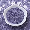 MIYUKI Delica Beads SEED-JP0008-DB0250-3