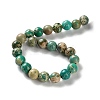 Dyed Natural Regalite/Imperial Jasper/Sea Sediment Jasper Beads Strands G-B124-C01-10-3