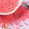 Glass Seed Beads SEED-S042-13A-07-1