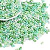 Glass Seed Beads SEED-K010-03H-1