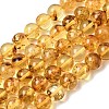 Natural Amber Beads Strands G-K376-H03-02-2