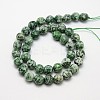 Natural Green Spot Jasper Beads Strands G-L148-14mm-01-2