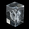 3D Laser Engraving Animal Glass Figurine LS-DJEW-R013-01D-5
