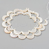 Electroplate Natural Freshwater Shell Beads Strands X-SHEL-T017-16D-2