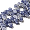 Natural Blue Spot Jasper Beads Strands G-B064-B59-1
