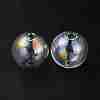 Handmade Two Holes Blown Glass Globe Beads FIND-WH0104-01D-1