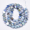 Freshwater Shell Beads Strands SHEL-N026-08E-2