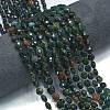 Natural Bloodstone/Heliotrope Stone Beads Strands G-K389-B04-01-2