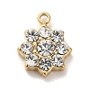 304 Stainless Steel with Crystal Glass Rhinestone Charms STAS-L022-264G-01-1
