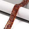 Natural Garnet Beads Strands G-F770-D03-02-1