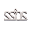 Non-Tarnish 304 Stainless Steel Pendants LS-STAS-C032-12P-2