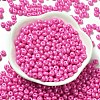 Baking Paint Luster Glass Seed Beads SEED-B001-04A-05-2