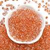 6/0 Spray Paint Fringe Glass Seed Beads X1-SEED-H003-11C-3