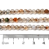Natural Agate Beads Strands G-H302-A01-05-5