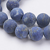 Natural Lapis Lazuli Beads Strands LS-G-J376-52-10mm-3