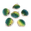 Spray Paint & Electroplate Natural Sea Shell Pendants SSHEL-N042-16B-1