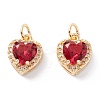 Brass Micro Pave Cubic Zirconia Charms LS-ZIRC-A019-14G-C-1