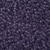 TOHO Round Seed Beads X-SEED-TR11-0019F-2