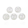 Transparent Handmade Blown Glass Globe Beads GLAA-T012-34B-1